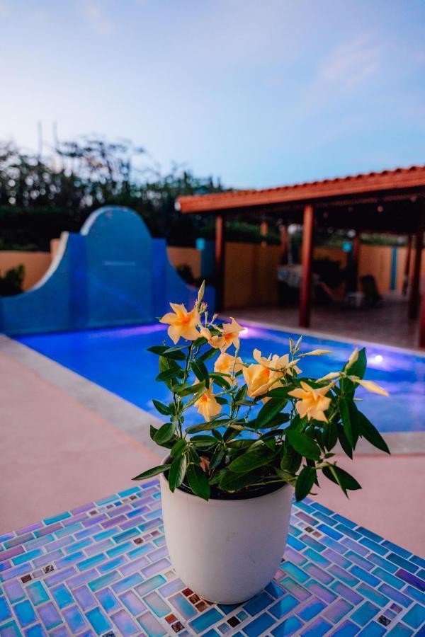 Villa Encantada Aruba Ноорд Екстер'єр фото